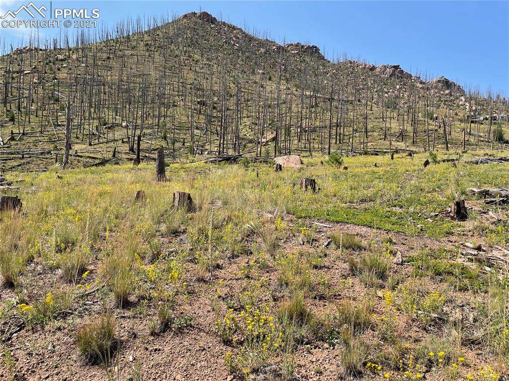 13821 Highway 67 - Photo 1
