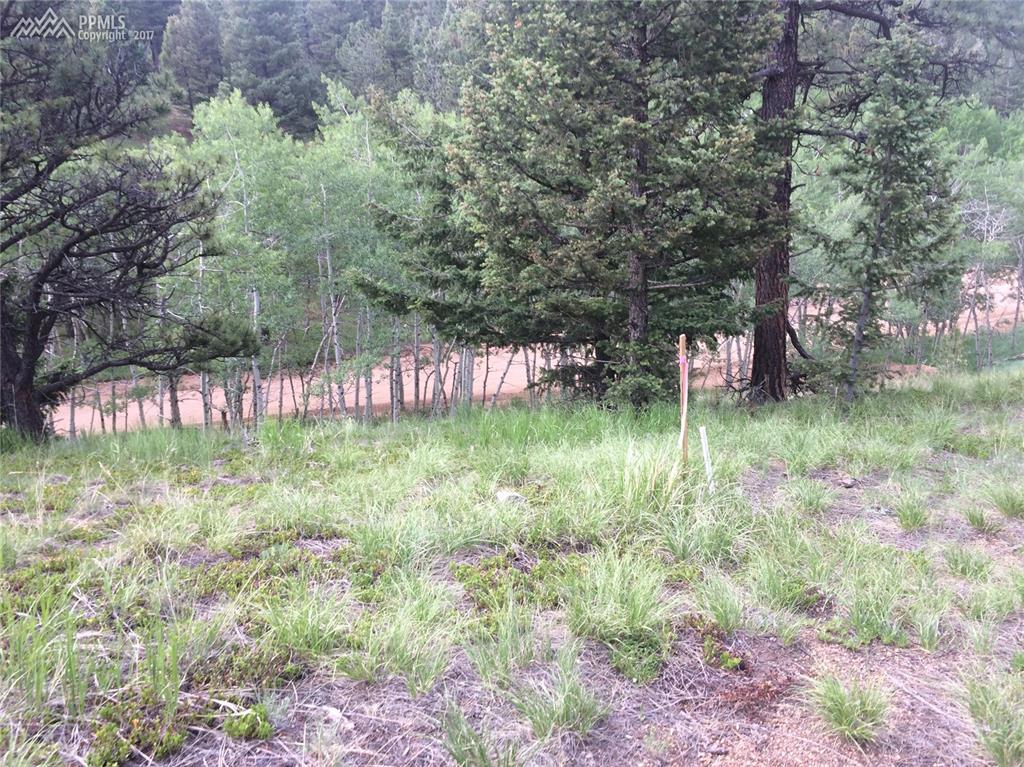 6200 Methusela Road - Photo 1