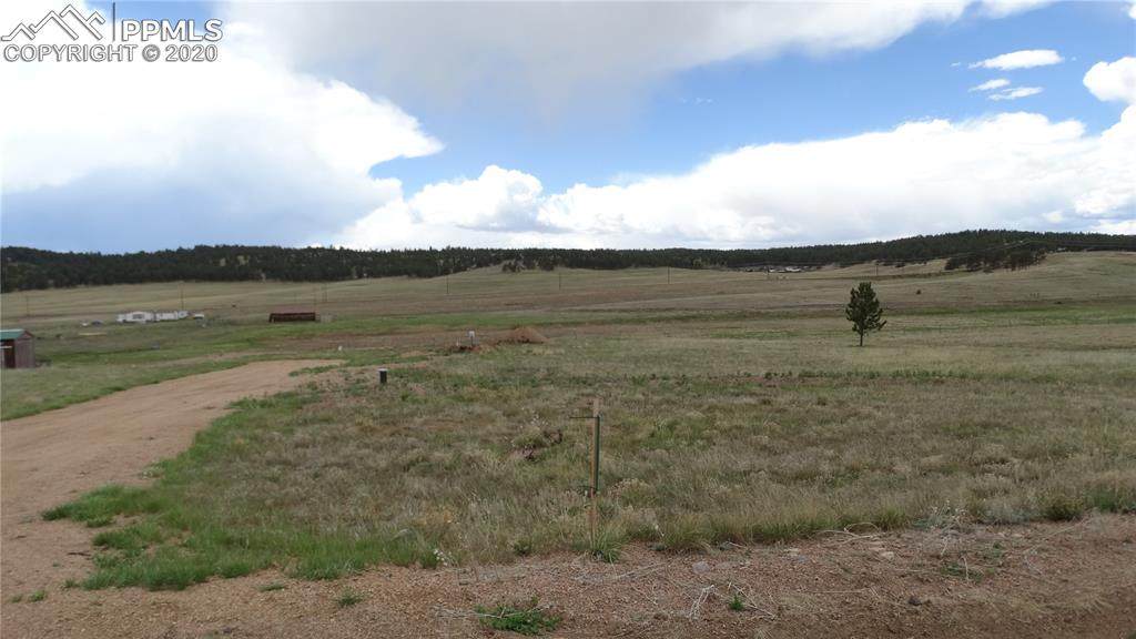 567 High Pasture Road - Photo 1