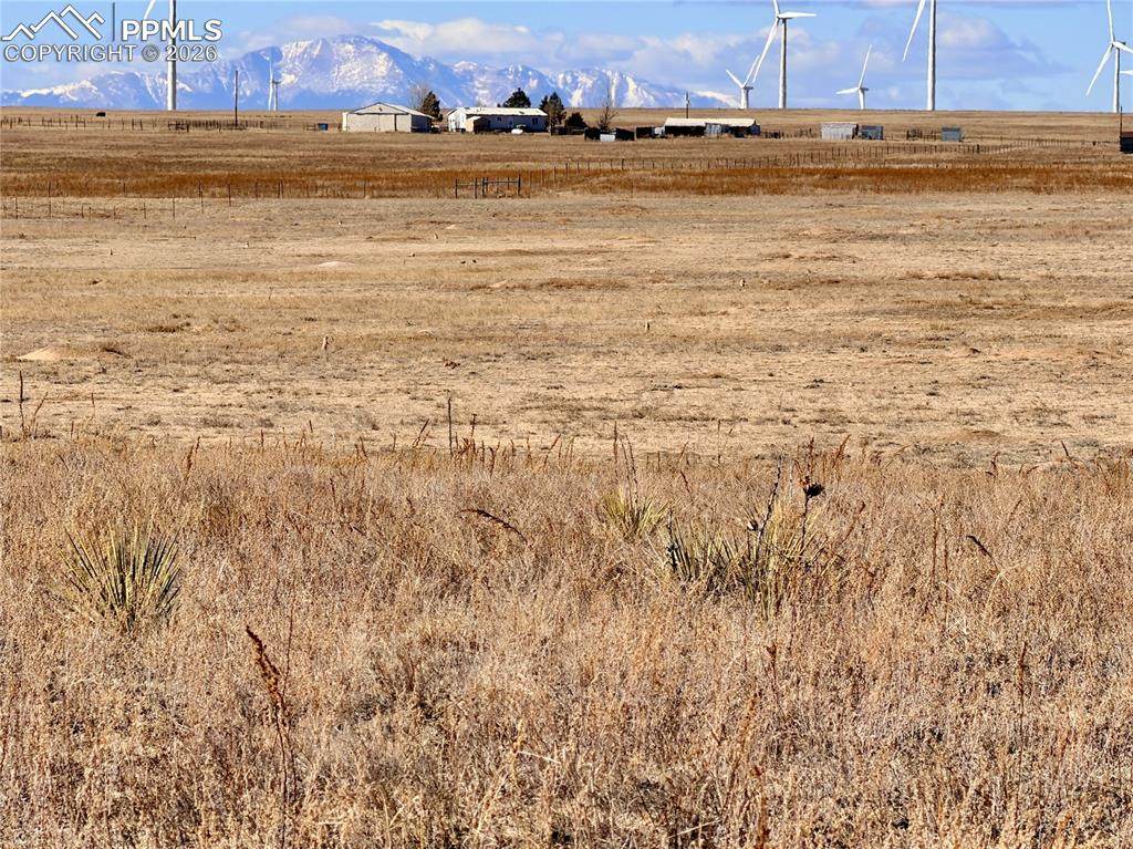 9320 Mulberry Road - Photo 1