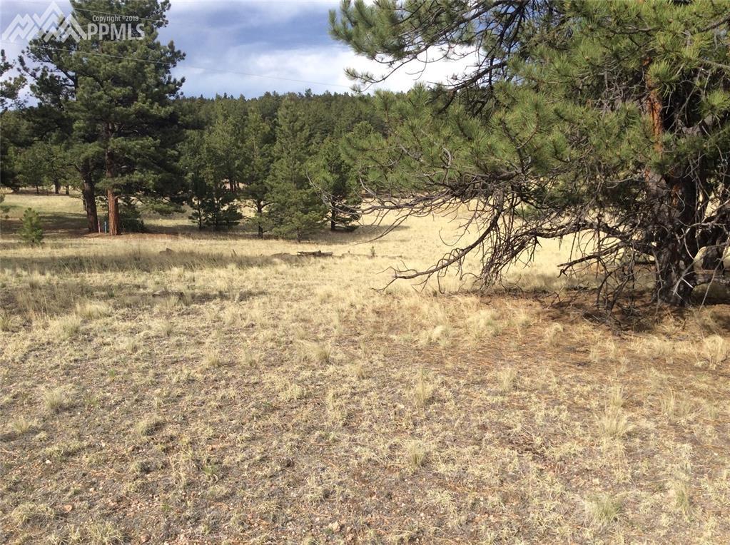 625 Mustang Trail - Photo 1