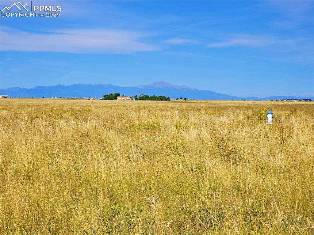 23712 Redtail Drive - Photo 1