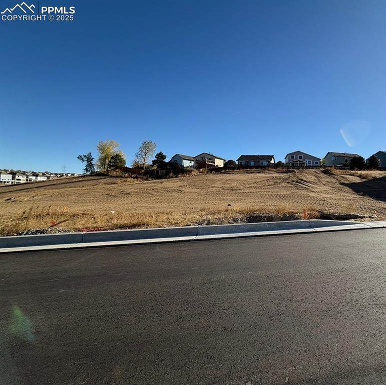 6867 Adamo Court - Photo 1