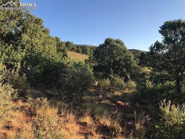 4580 Monitor Rock Lane - Photo 1