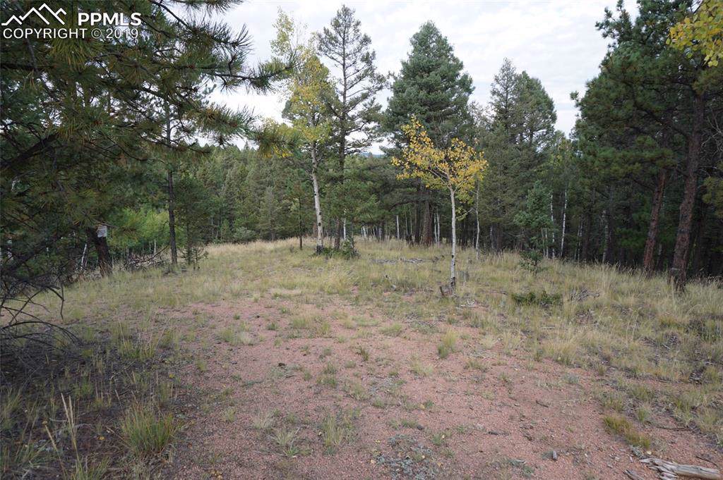 29 Montana Circle - Photo 1