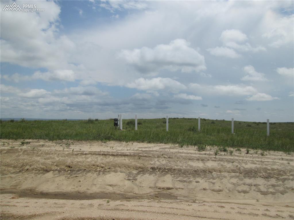 18165 Prairie Coach View - Photo 1