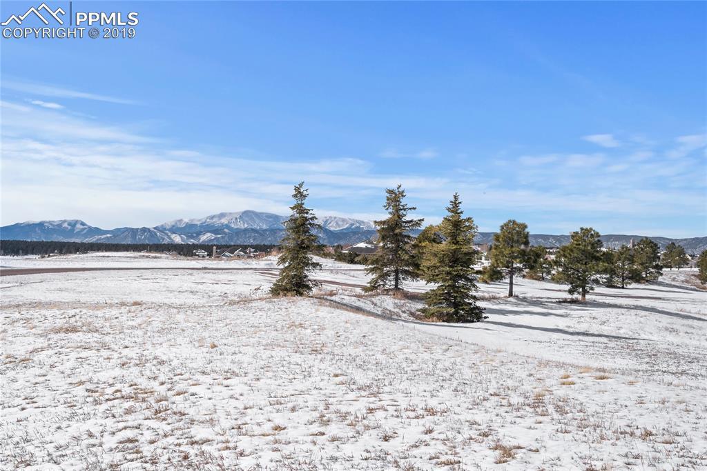 19368 Royal Troon Drive - Photo 1