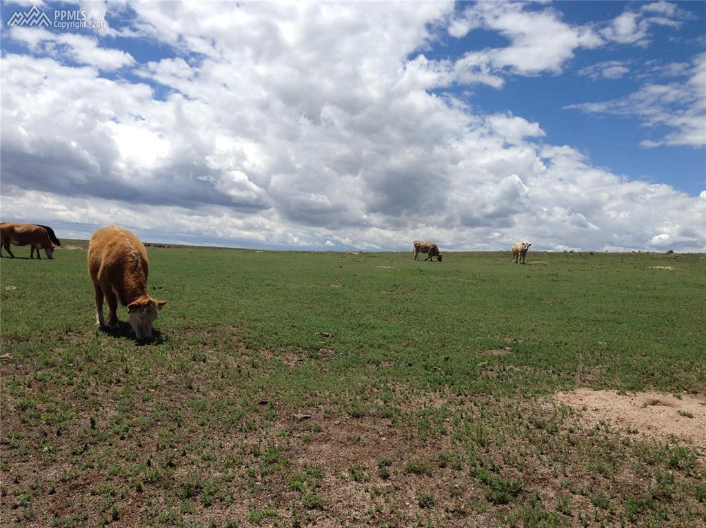 0 Ramah Highway - Photo 1