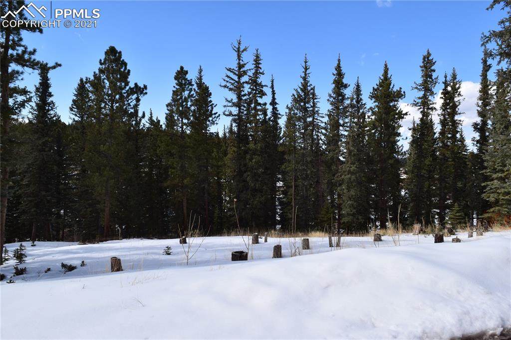 220 Iron Eagle Point - Photo 1
