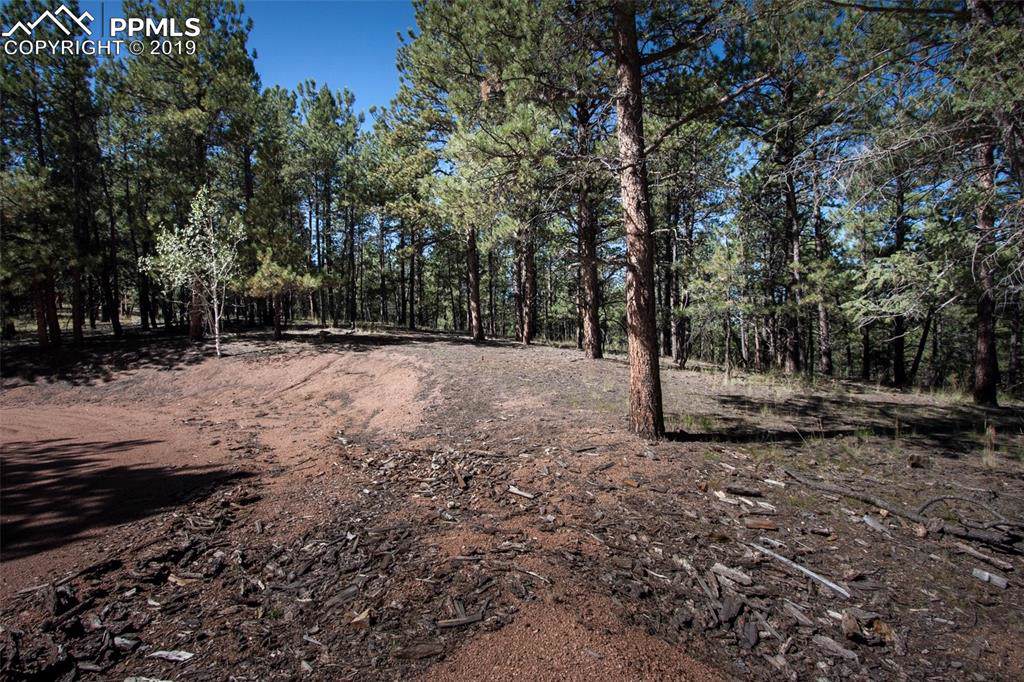 163 Ouray Road - Photo 1