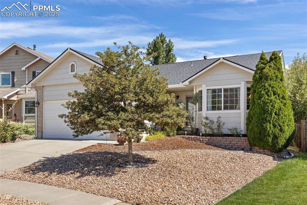 5655 Mesa Mountain Way - Photo 1