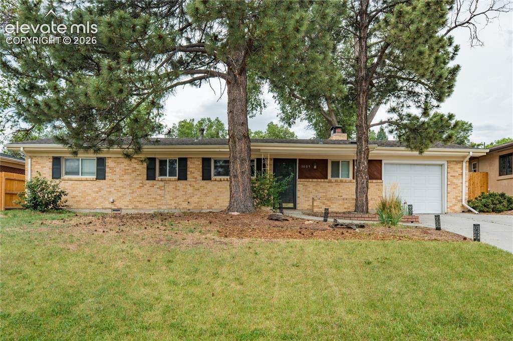 1009 Parkview Boulevard - Photo 1
