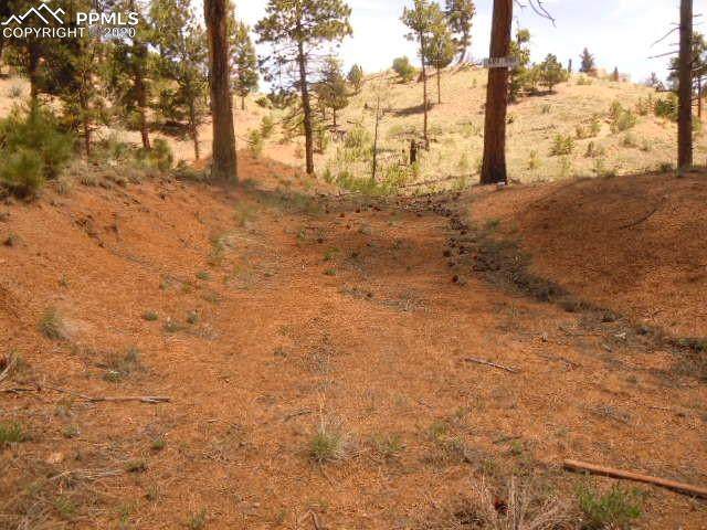 250 Brooks Lane - Photo 1