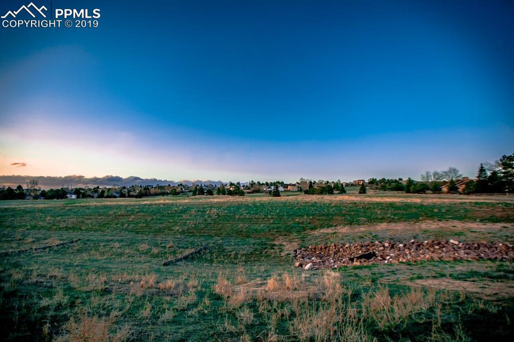 14161 Stone Eagle Place - Photo 1