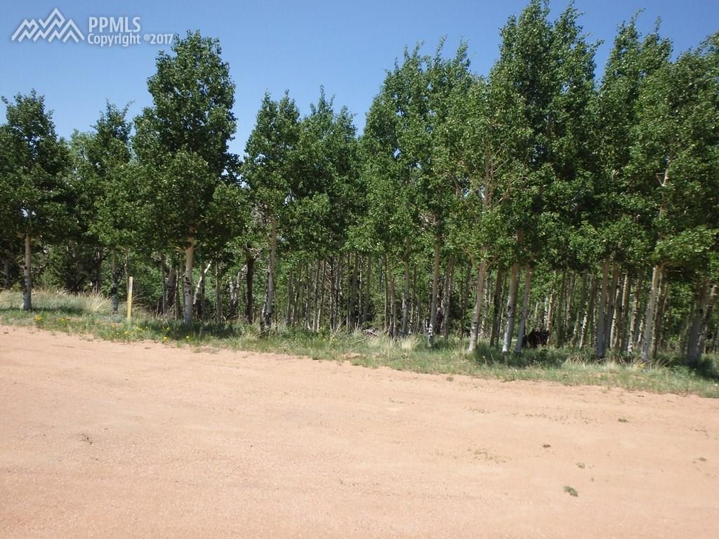 255 Andes Terrace - Photo 1