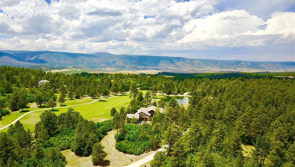 1375 Grayhawk Place - Photo 1