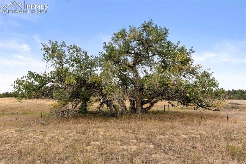 18665 Shannon Road - Photo 1