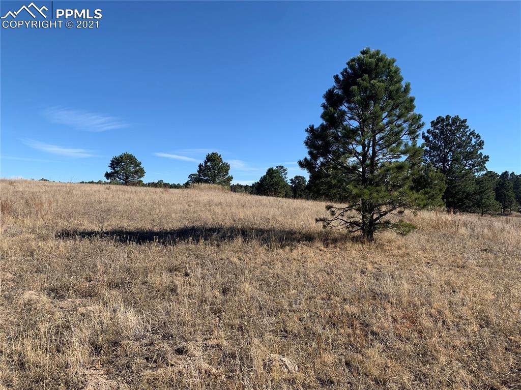 11761 Flap Jack Lane - Photo 1