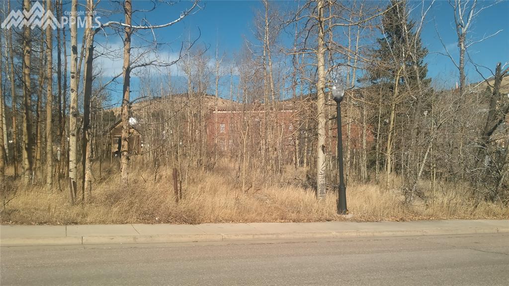 119 Masonic Avenue - Photo 1