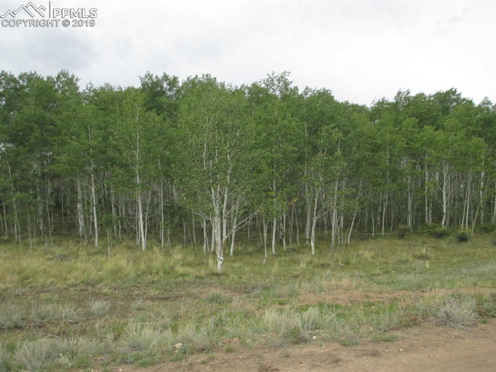 800 Horn Road - Photo 1