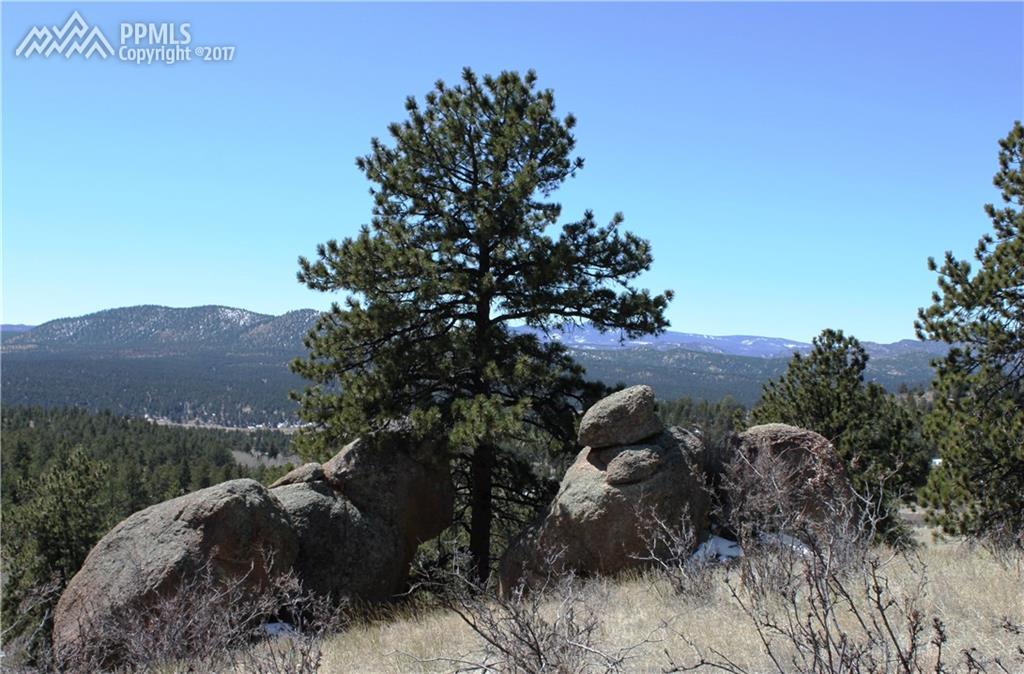 95 Navajo Trail - Photo 1