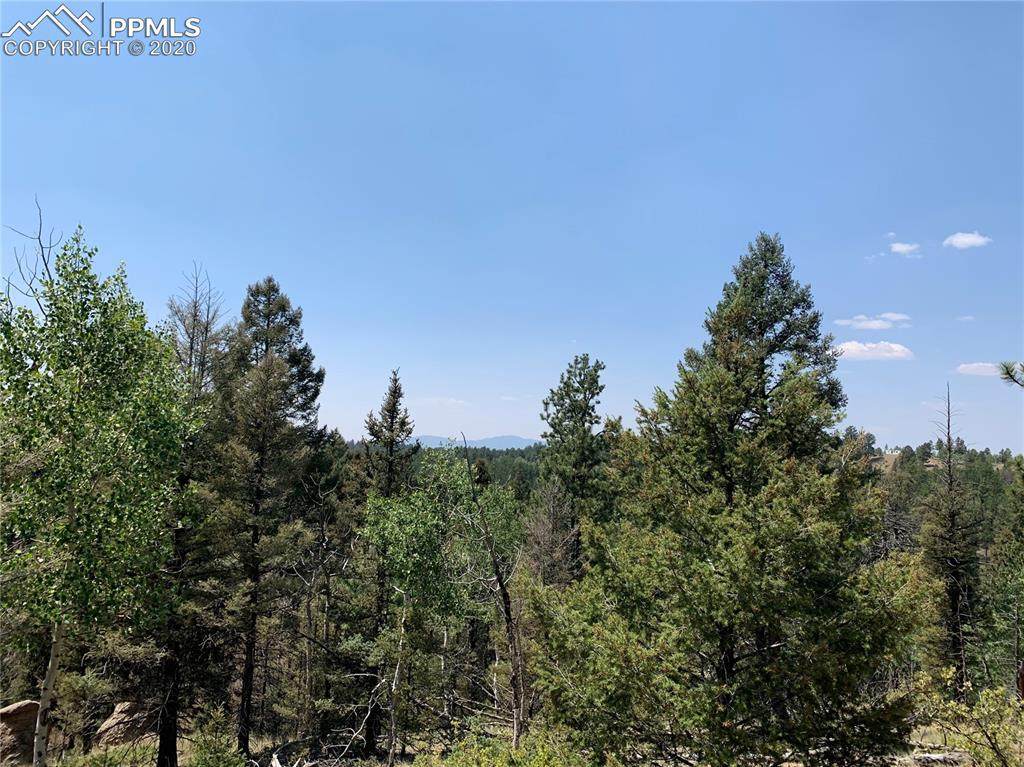 36 Chalk Circle Trail - Photo 1