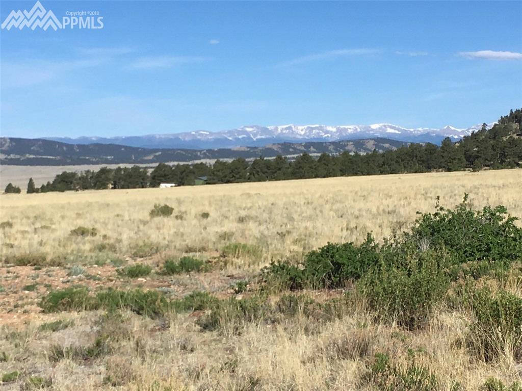 1637 Garfield Road - Photo 1