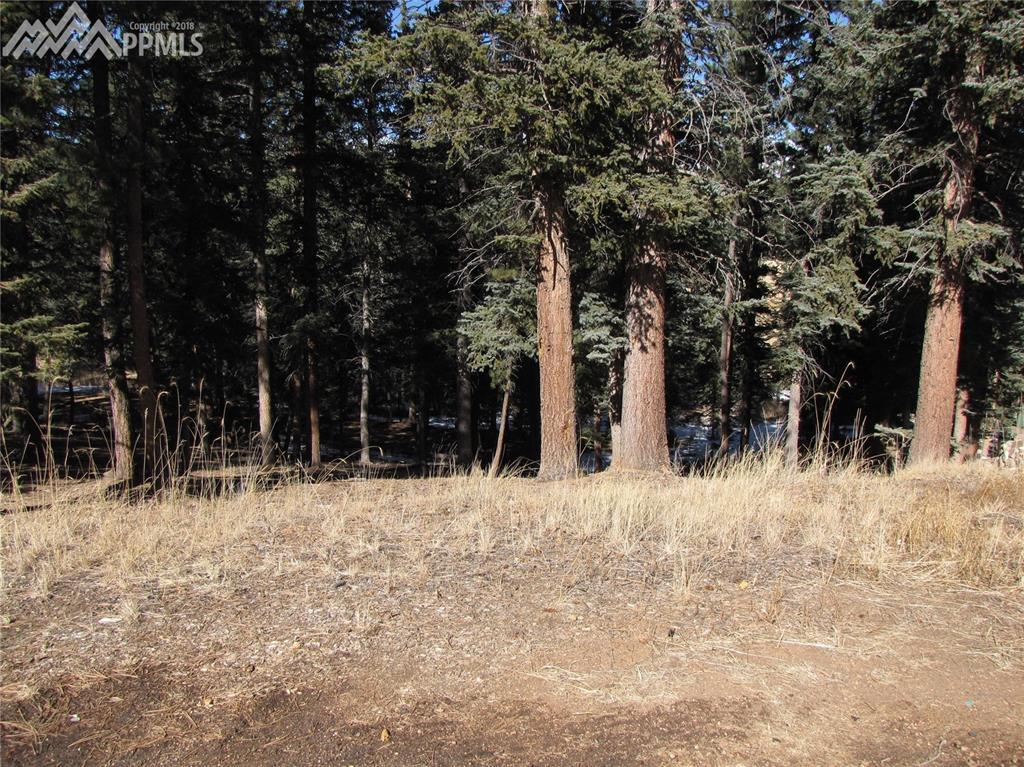 240 Iron Eagle Point - Photo 1