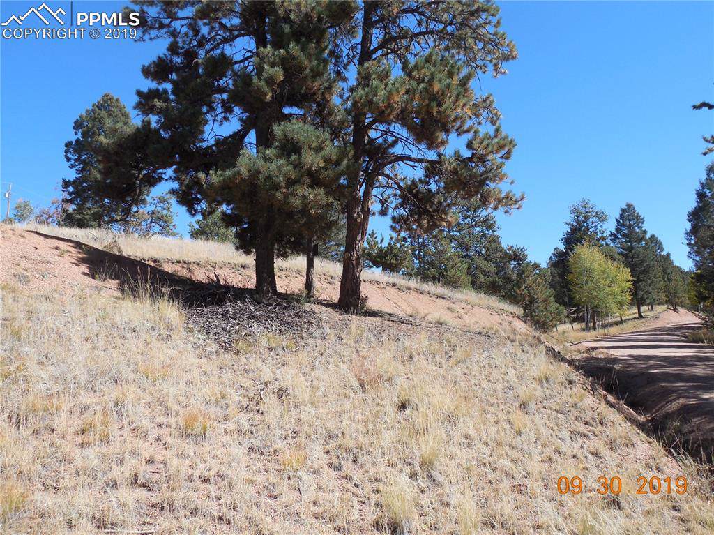 157 Paint Pony Lane - Photo 1