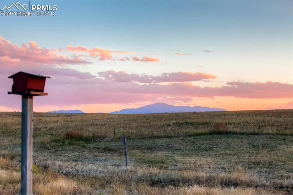 11275 Pony Express Lane - Photo 1