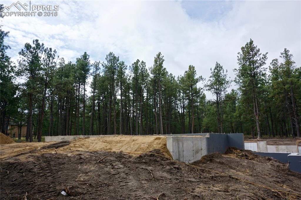 15968 Huckleberry Heights - Photo 1