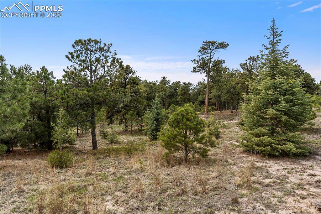 7165 Mcshane Road - Photo 1