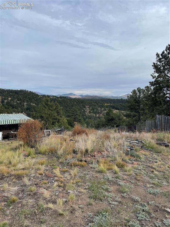 122 Pine Tree Lane - Photo 1