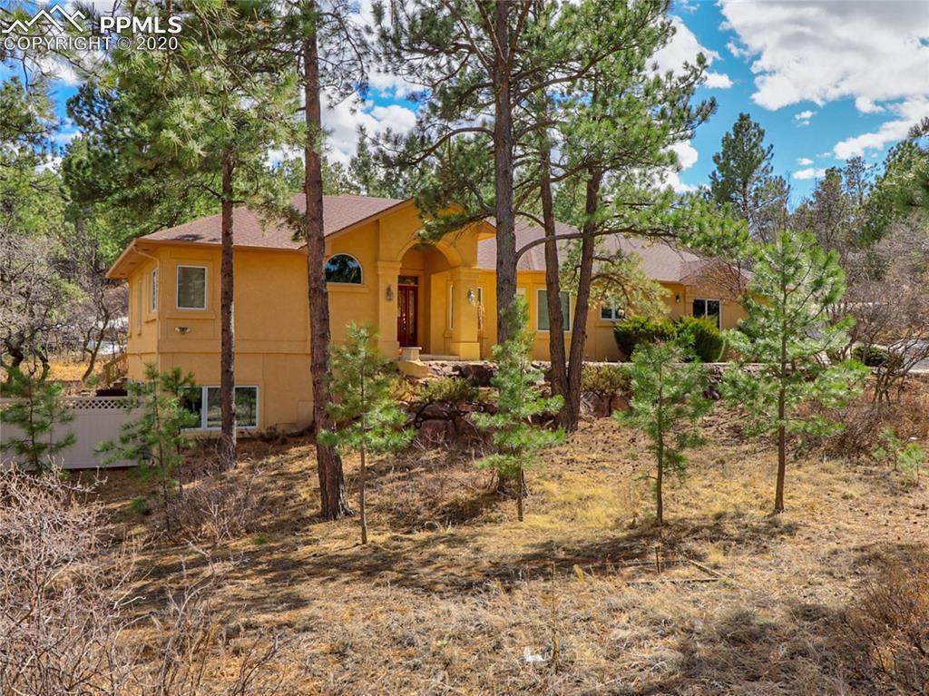 7405 Winding Oaks Drive - Photo 1