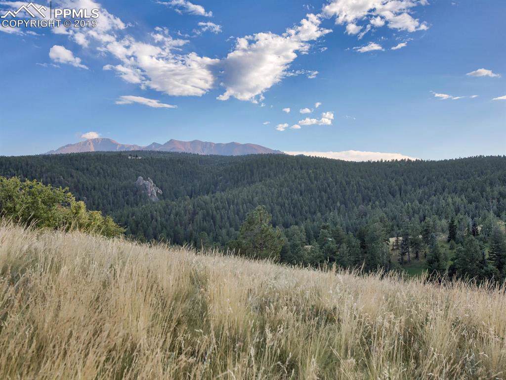 222 Columbine Place - Photo 1