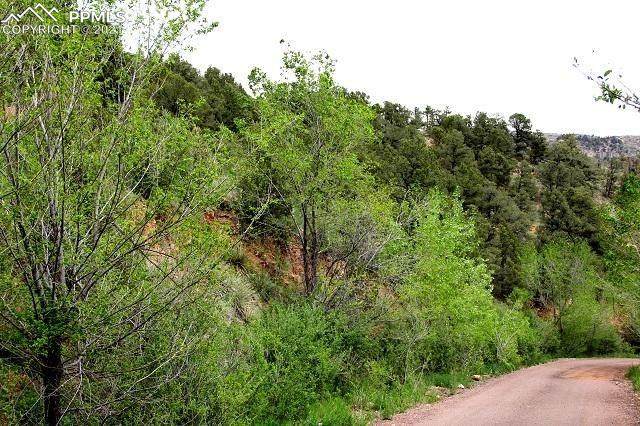 000 Trestle Trail - Photo 1