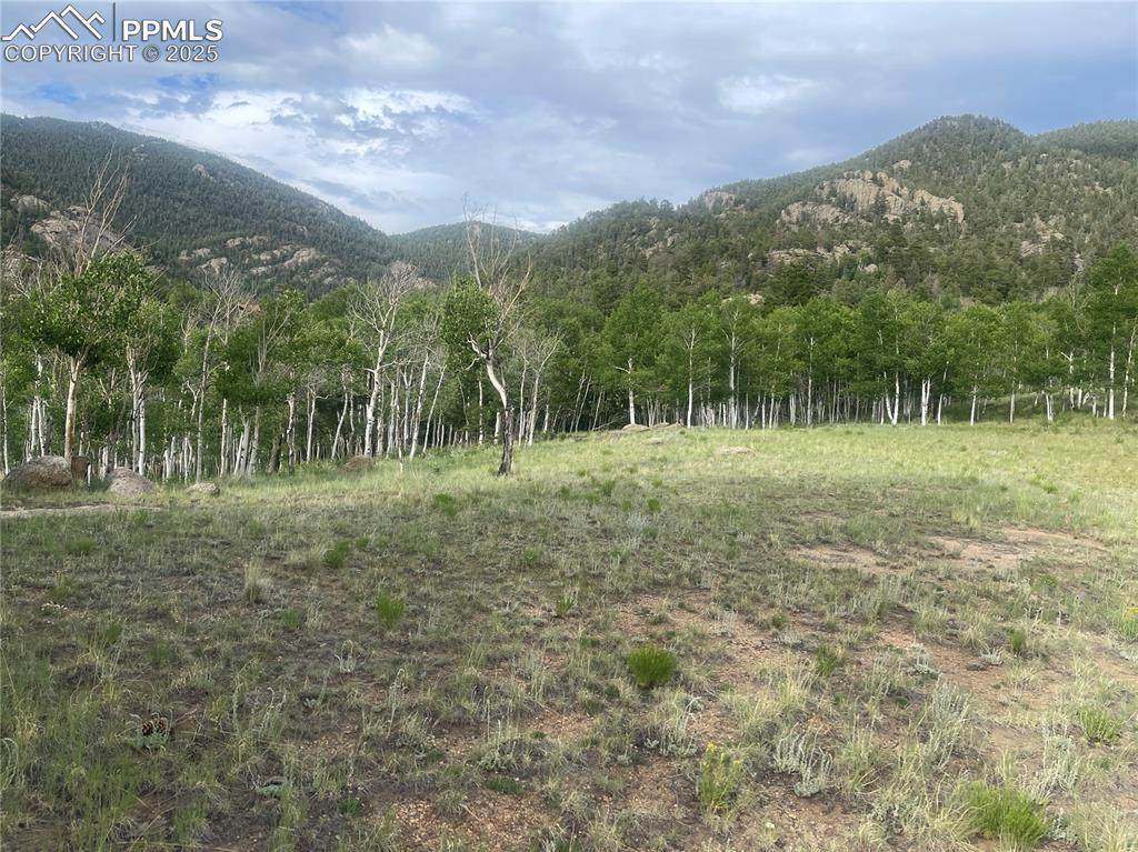 171 Emerald Way - Photo 1