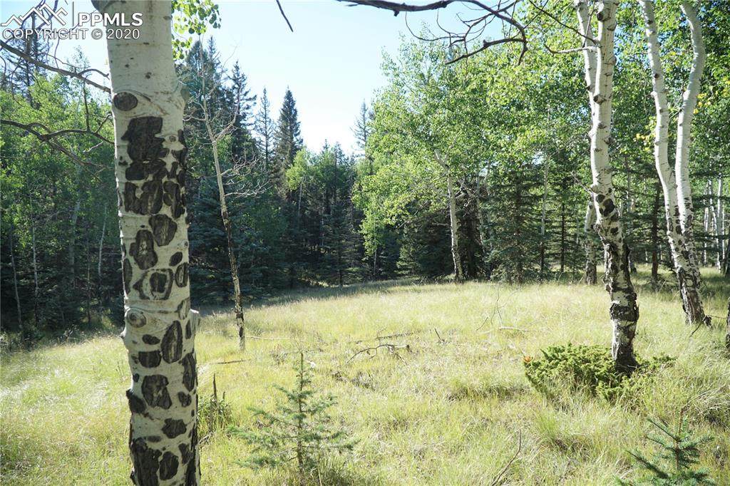 464 Hidden Point - Photo 1