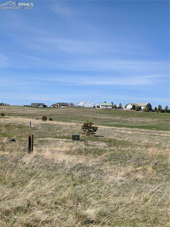 4590 Settlers Ranch Road - Photo 1