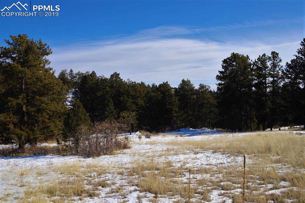 202 Pike View Lane - Photo 1