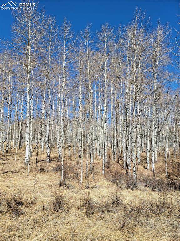455 Aspen Way Drive - Photo 1