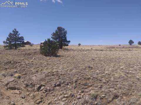 191 Crystal Falls Drive - Photo 1
