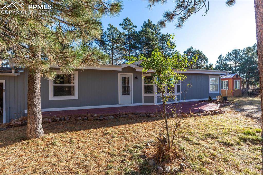 18440 Black Squirrel Road - Photo 1