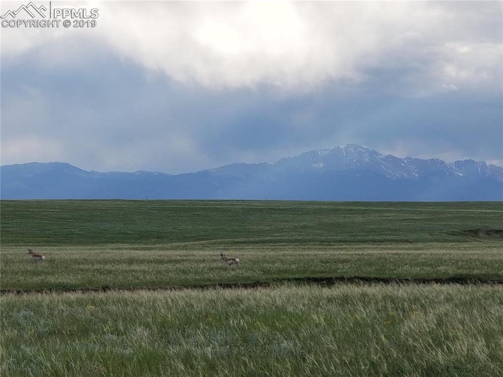 7344 Buckskin Ranch View - Photo 1
