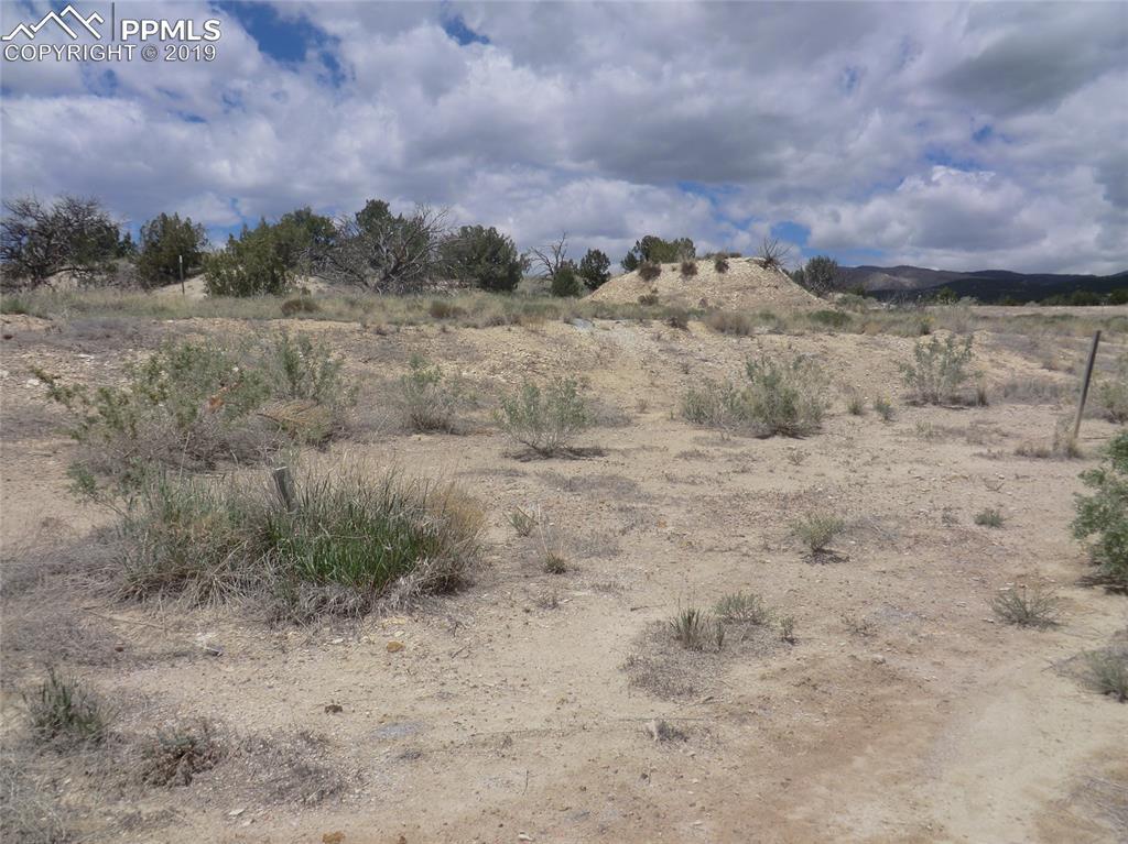 835 Pecos Point - Photo 1