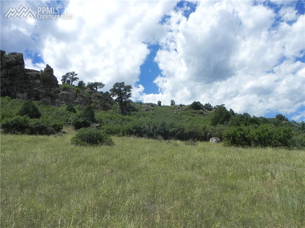 5590 Country Club Drive - Photo 1