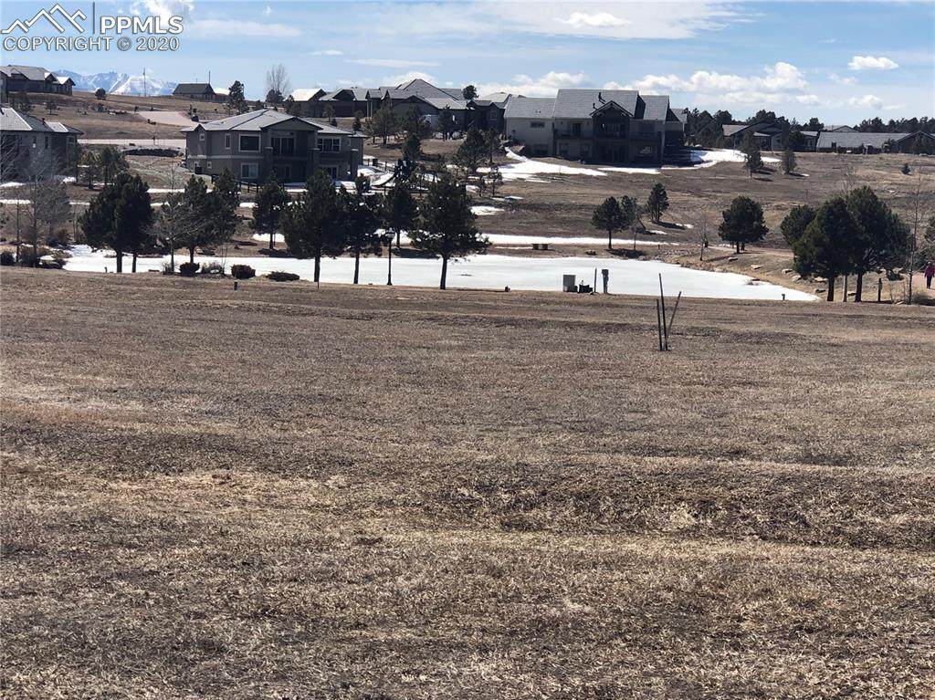 17516 Pond View Place - Photo 1