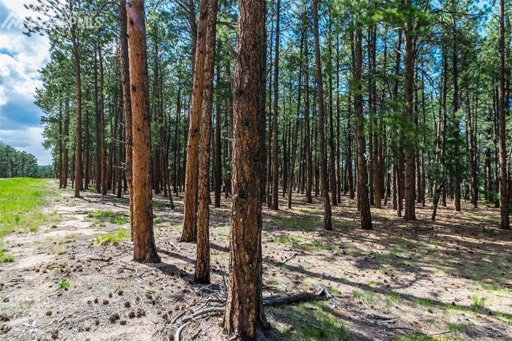 19045 Hilltop Pines Path - Photo 1