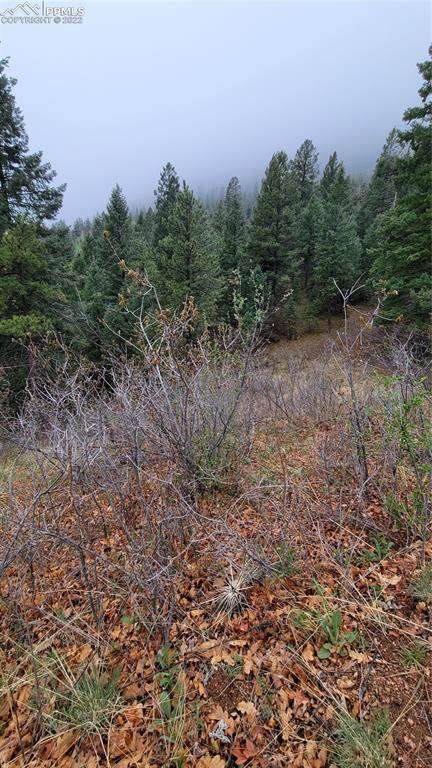 5325 Kulsa Road - Photo 1