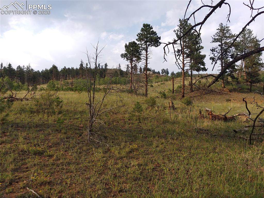 13990 Highway 67 Highway - Photo 1
